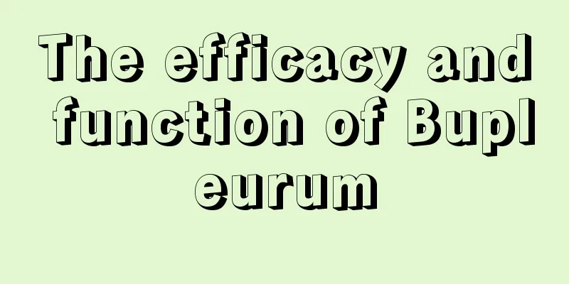 The efficacy and function of Bupleurum