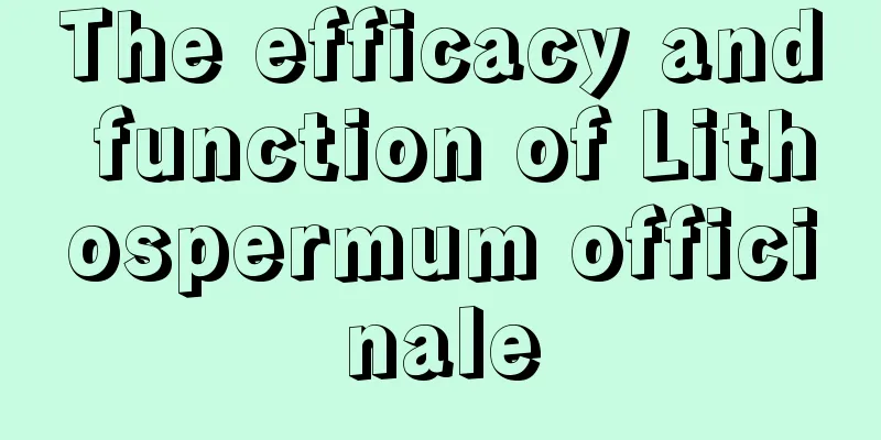 The efficacy and function of Lithospermum officinale