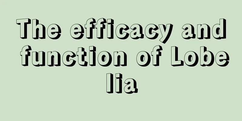 The efficacy and function of Lobelia