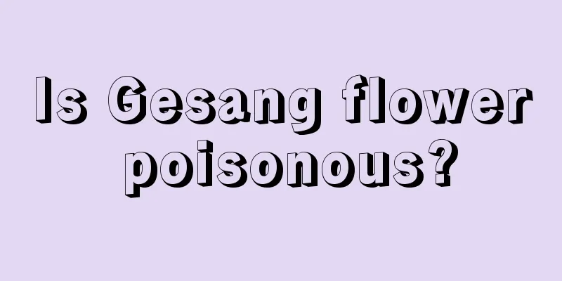 Is Gesang flower poisonous?