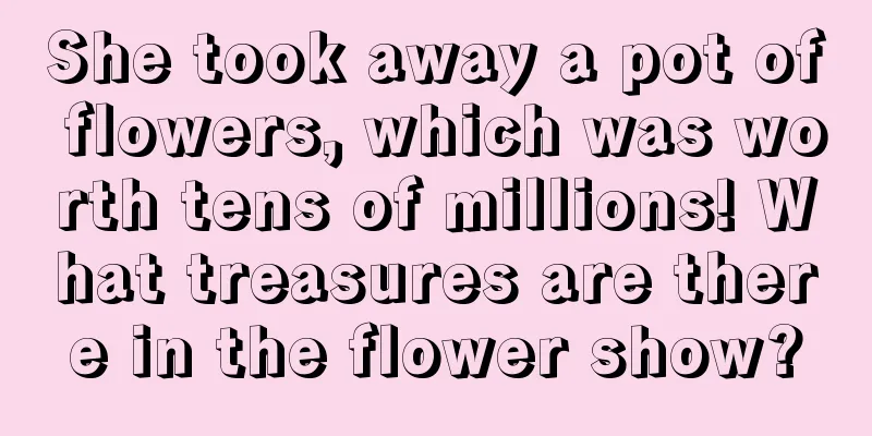 She took away a pot of flowers, which was worth tens of millions! What treasures are there in the flower show?