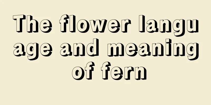 The flower language and meaning of fern