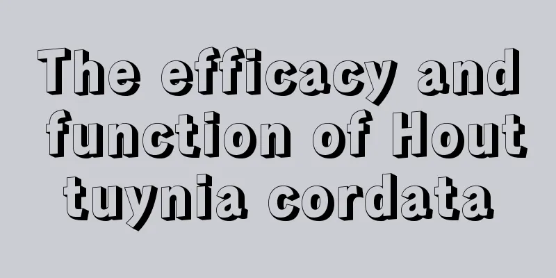 The efficacy and function of Houttuynia cordata