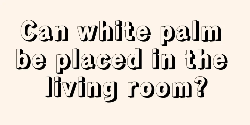 Can white palm be placed in the living room?