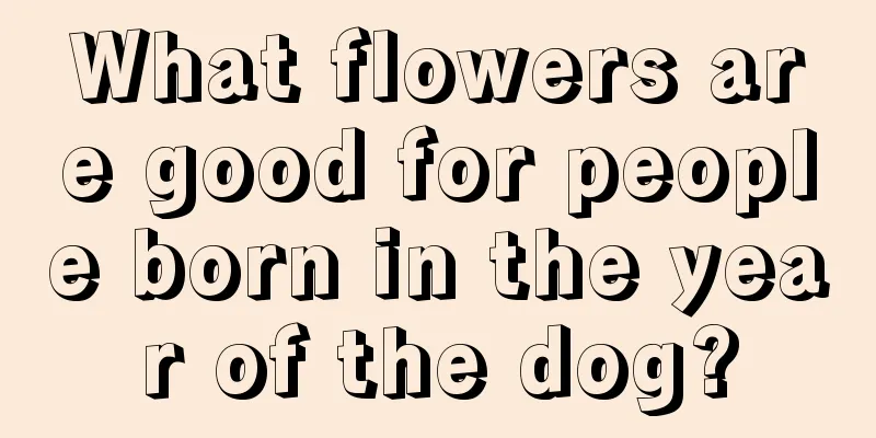 What flowers are good for people born in the year of the dog?