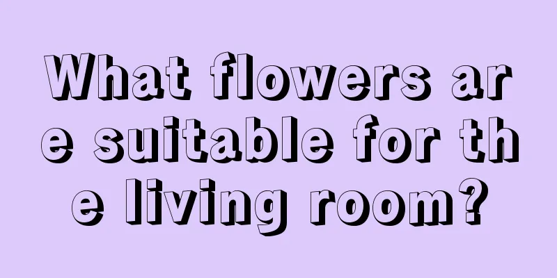 What flowers are suitable for the living room?