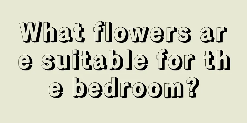 What flowers are suitable for the bedroom?