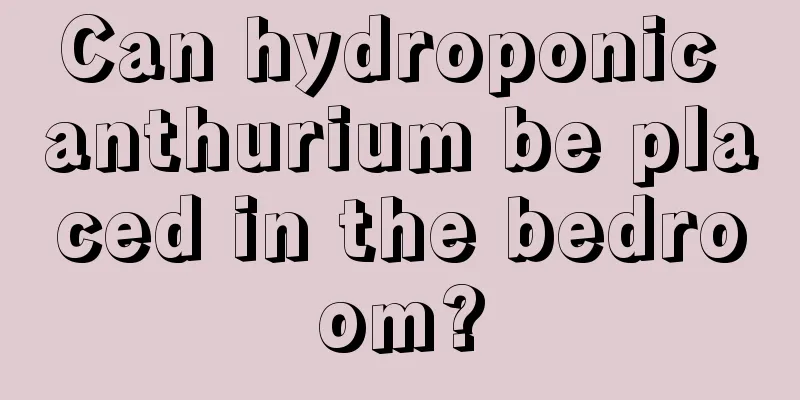 Can hydroponic anthurium be placed in the bedroom?