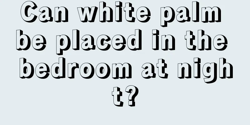 Can white palm be placed in the bedroom at night?