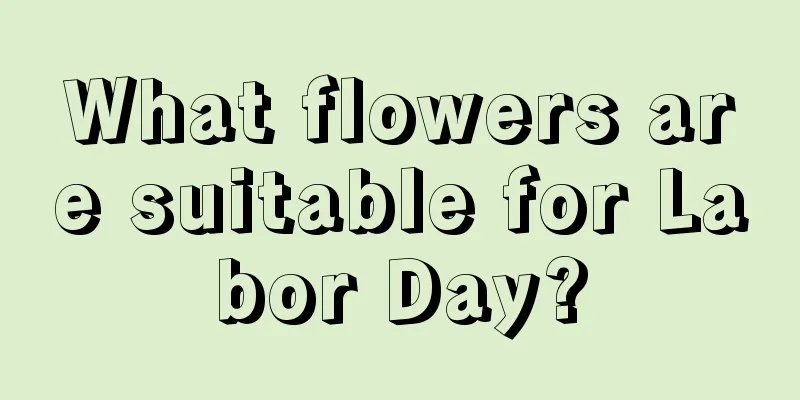 What flowers are suitable for Labor Day?