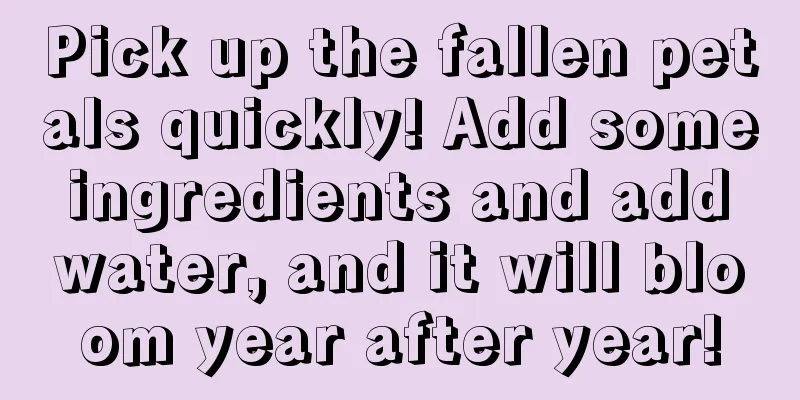 Pick up the fallen petals quickly! Add some ingredients and add water, and it will bloom year after year!