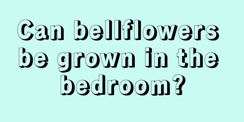 Can bellflowers be grown in the bedroom?