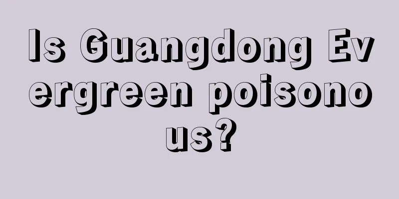 Is Guangdong Evergreen poisonous?