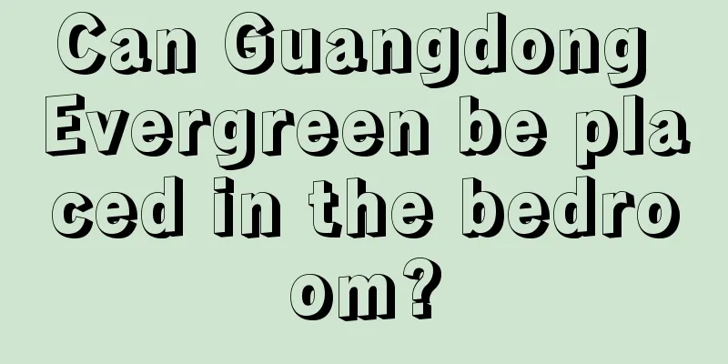 Can Guangdong Evergreen be placed in the bedroom?