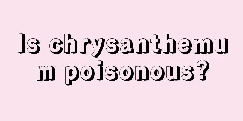 Is chrysanthemum poisonous?