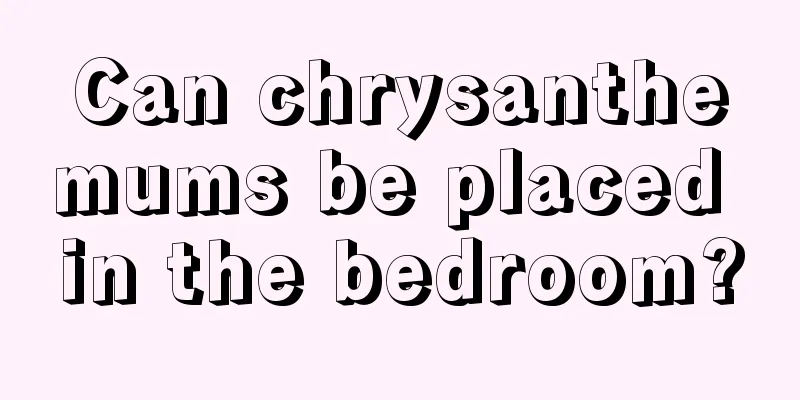 Can chrysanthemums be placed in the bedroom?