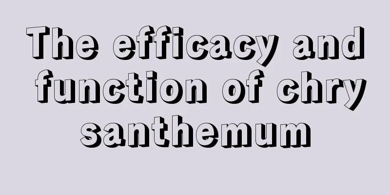 The efficacy and function of chrysanthemum