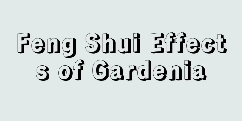 Feng Shui Effects of Gardenia