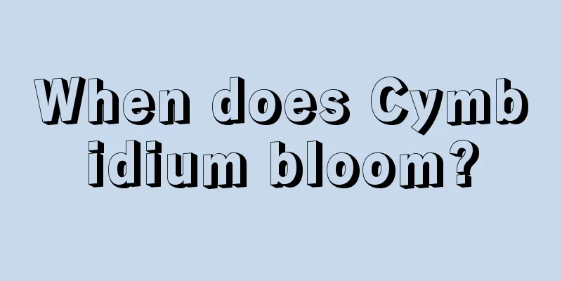 When does Cymbidium bloom?