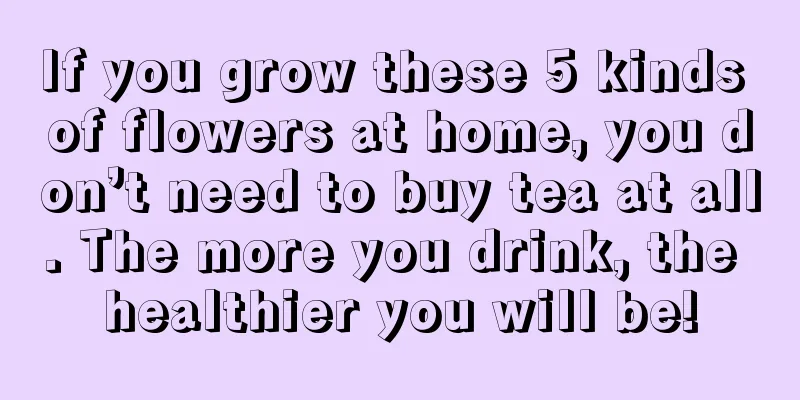 If you grow these 5 kinds of flowers at home, you don’t need to buy tea at all. The more you drink, the healthier you will be!