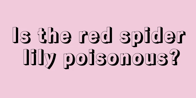 Is the red spider lily poisonous?