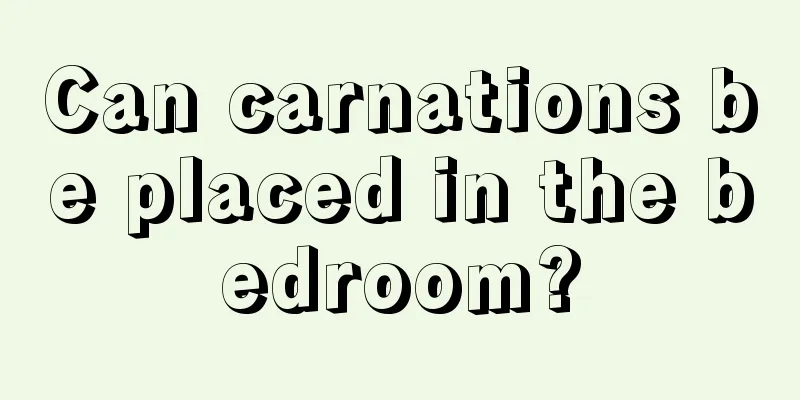 Can carnations be placed in the bedroom?