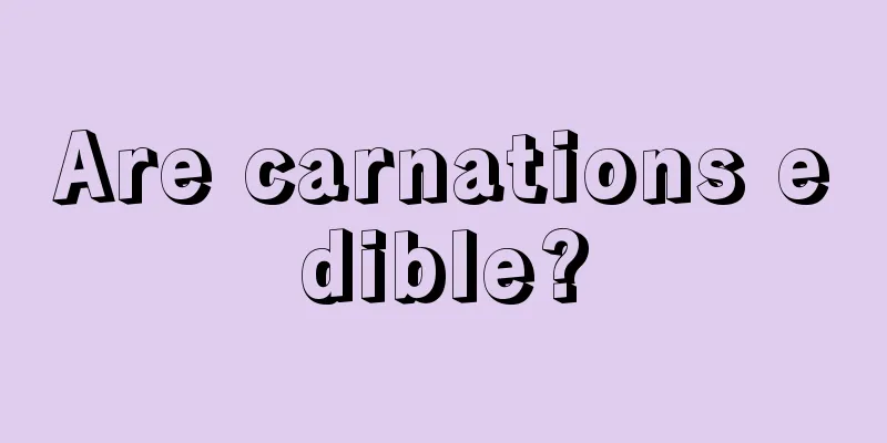 Are carnations edible?