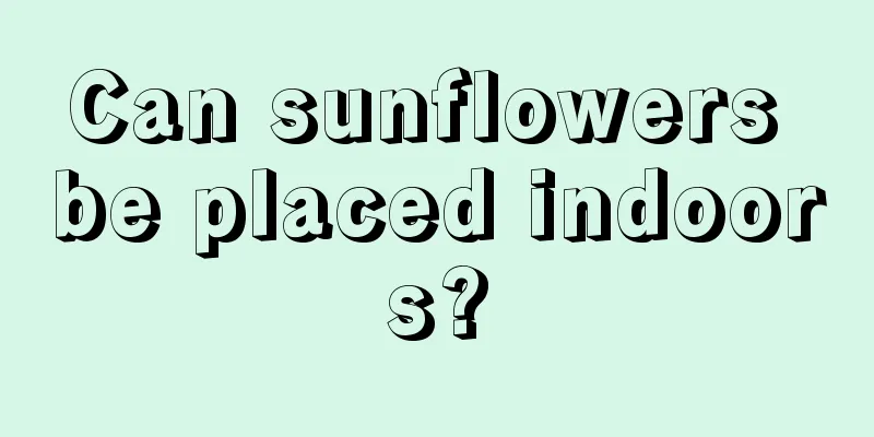 Can sunflowers be placed indoors?