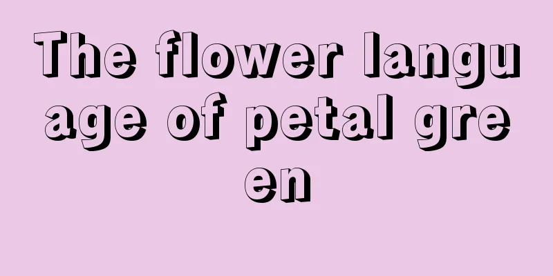 The flower language of petal green