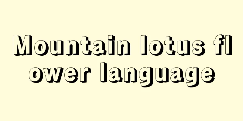 Mountain lotus flower language