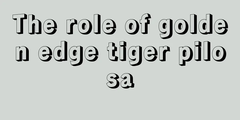 The role of golden edge tiger pilosa