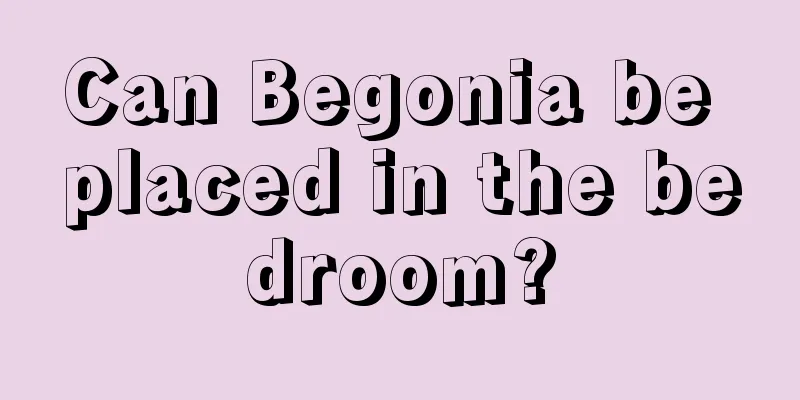 Can Begonia be placed in the bedroom?