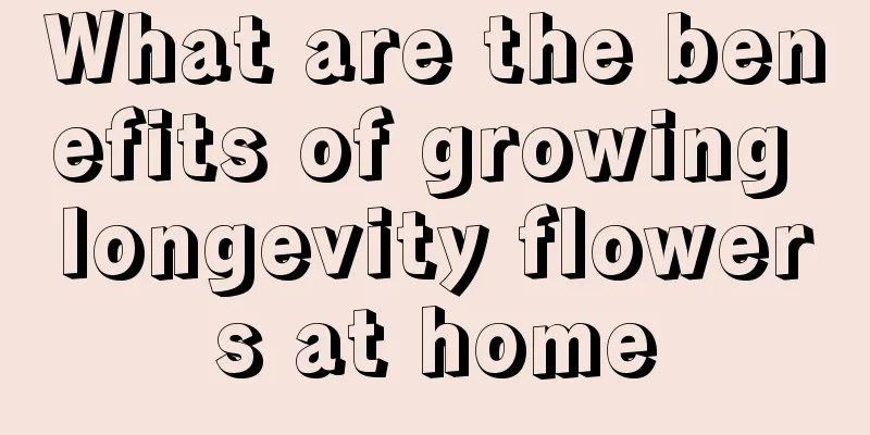 What are the benefits of growing longevity flowers at home