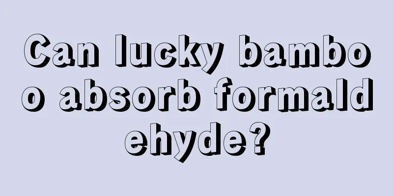 Can lucky bamboo absorb formaldehyde?