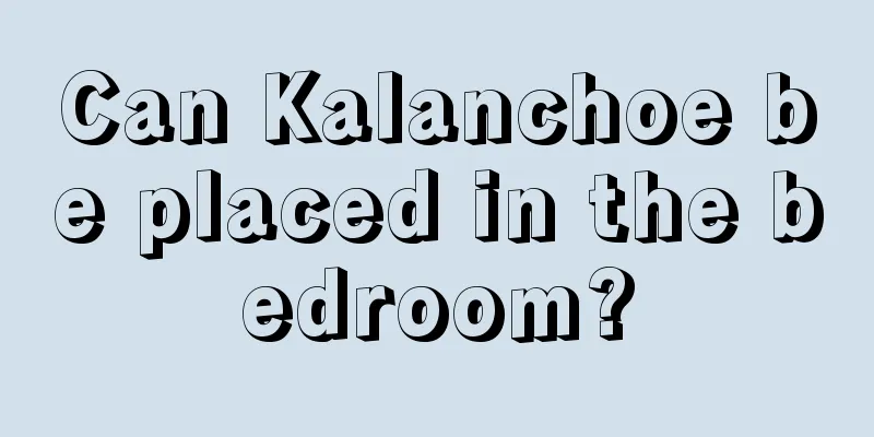 Can Kalanchoe be placed in the bedroom?