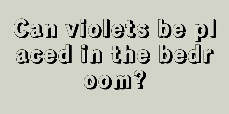 Can violets be placed in the bedroom?