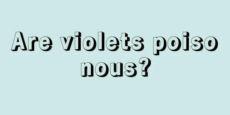 Are violets poisonous?