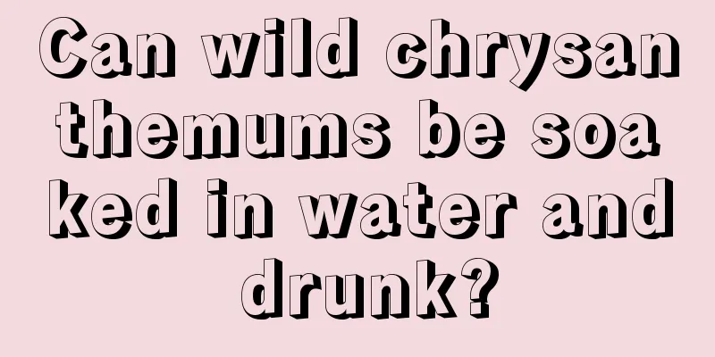 Can wild chrysanthemums be soaked in water and drunk?