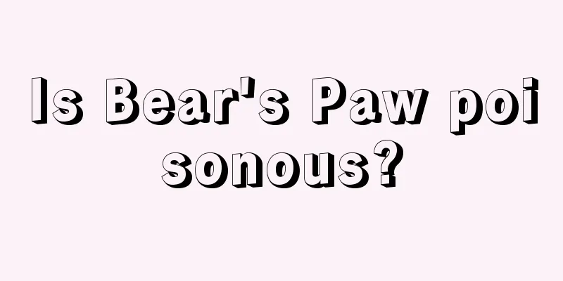 Is Bear's Paw poisonous?