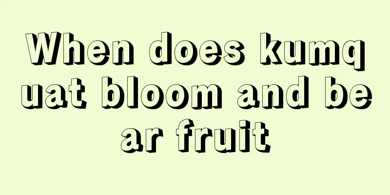 When does kumquat bloom and bear fruit