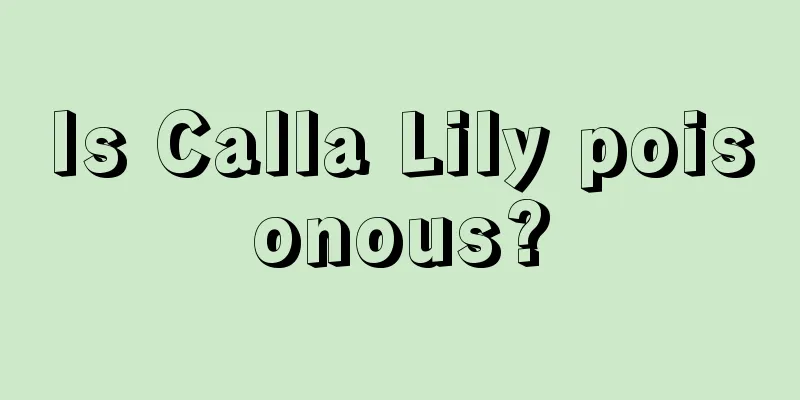 Is Calla Lily poisonous?