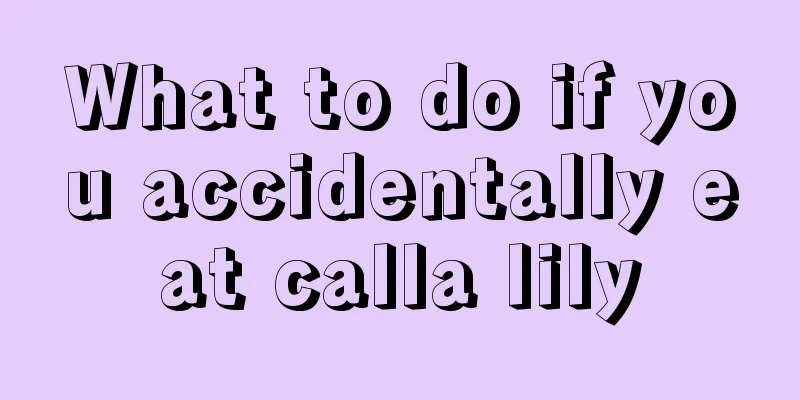 What to do if you accidentally eat calla lily