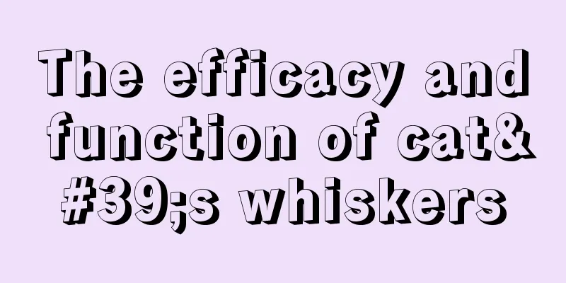 The efficacy and function of cat's whiskers