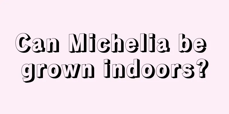 Can Michelia be grown indoors?