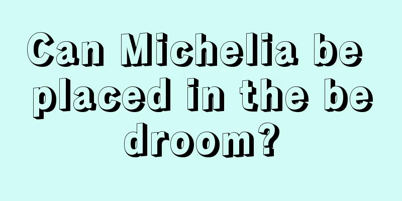 Can Michelia be placed in the bedroom?