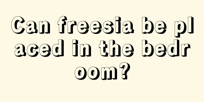 Can freesia be placed in the bedroom?