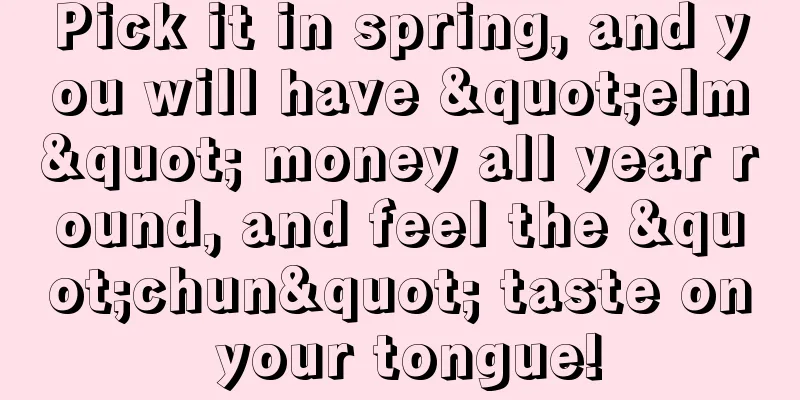 Pick it in spring, and you will have "elm" money all year round, and feel the "chun" taste on your tongue!