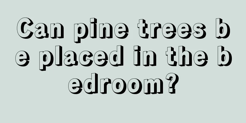 Can pine trees be placed in the bedroom?