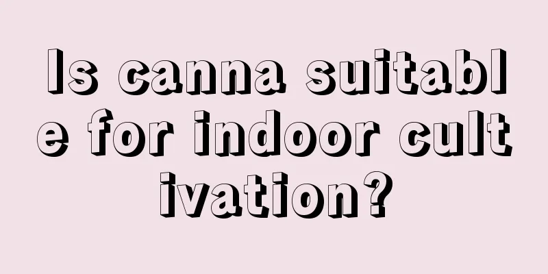 Is canna suitable for indoor cultivation?