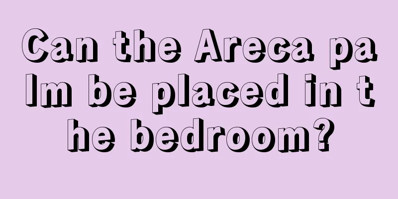 Can the Areca palm be placed in the bedroom?